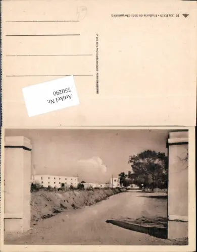 550290,Africa Tunis Tunisia Zarzis