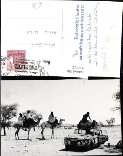 239532,Afrika Kamele Wüste Auto