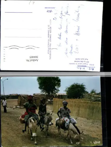 304405,Senegal Depart pour le marche Auf zum Markt Volkstypen Esel Packesel