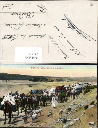 351878,Sahara Caravane en marche Karawane Volkstypen Kamele Hunde