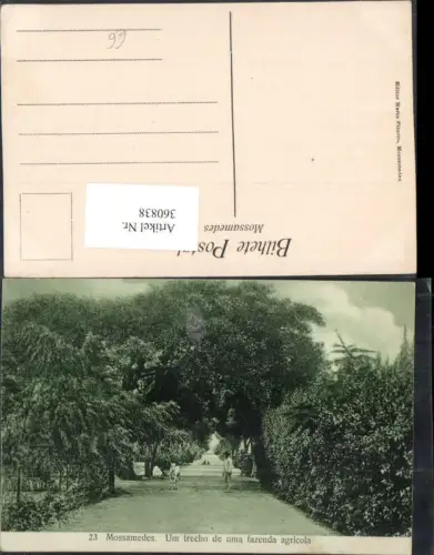 360838,Africa Angola Mossamedes Namibe Um trecho de uma fazenda agricola Straße