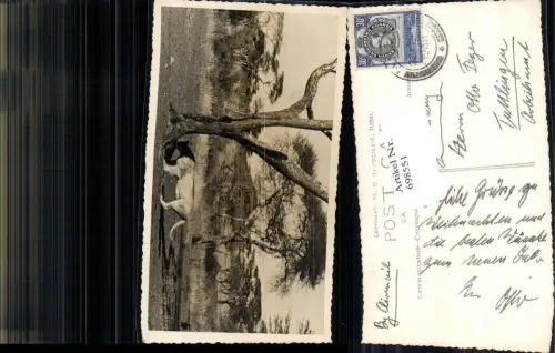 698551 Africa Uganda Safari Tansania Tanzania Moshi Moschi Löwe pub M. D. Gaudghau