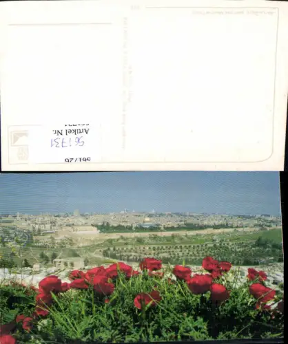561731,Israel Jerusalem Mohnblumen Klatschmohn
