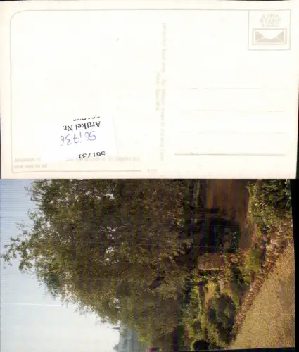 561736,Israel Jerusalem Garden