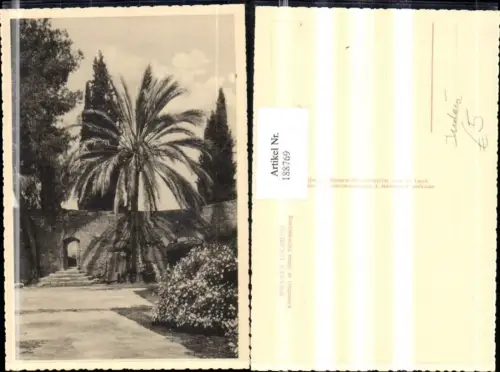 188769,Israel Jerusalem Umgebung Klosterhof in Maria Heimsuchung Ansicht Palme