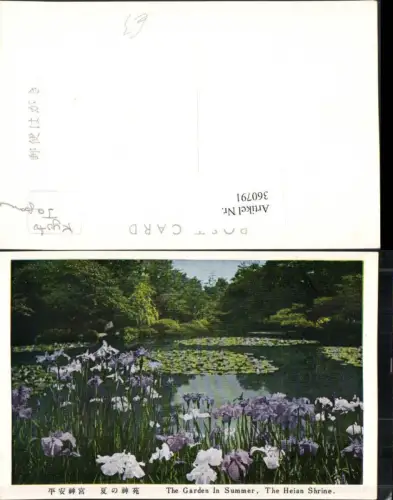 360791,Japan Kyoto Heian Shrine The Garden in Summer Teich Blumen