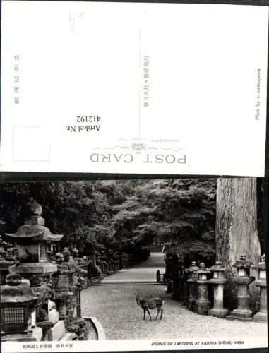 412192,Japan Nara Kasuga Shrine Avenue of Lanterns Laternen Reh