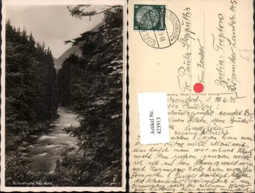 423913,Schwarzatal b. Sitzendorf Fluss Wald