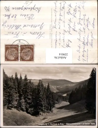 229014,Umgebung v. Neuhaus a. Rennweg Steinachtalbrücke i. d. Nassen Delle