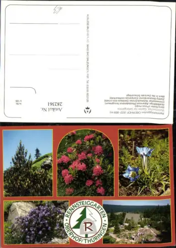 282361,Oberhof Rennsteiggarten Berg-Kiefer Alpenrose Enzian Zwerg-Glockenblume Mehrbildkarte