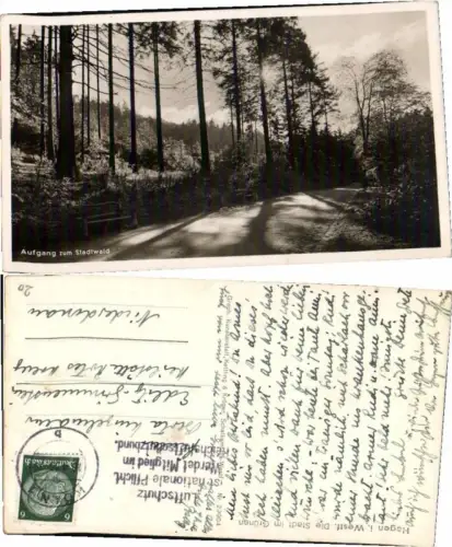 69144,Hagen in Westfalen Aufgang z. Stadtwald