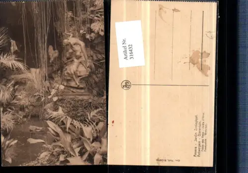 316432,Anvers Antwerpen Dierentuin Jardin Zoologique Statue Partie