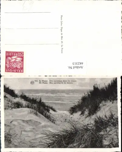 442313,Belgium De Panne Een opening in de duinen Dünen Strand