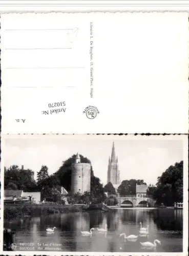 510270,Belgium Bruges Brügge Le Lac d'Amour See Schwäne Turm Brücke