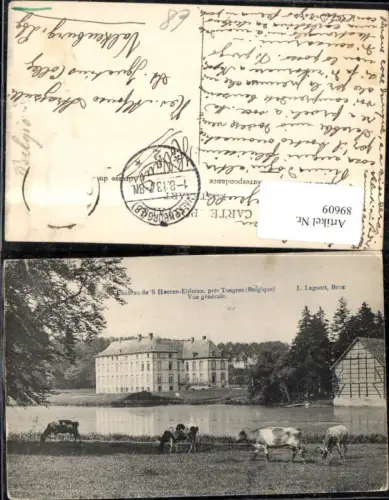 89609,Tongres Chateau de´S Hoeren Elderen Ansicht m. Kühen 1908