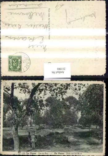 211901,La Panne Vue du Bois Zicht van het Bosch Partie