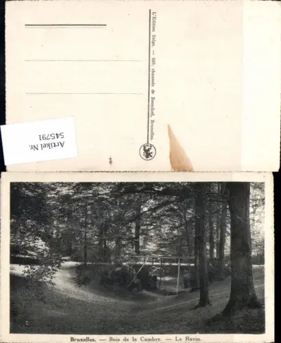 545791,Belgium Brüssel Bruxelles Bois de la cambre Le ravin