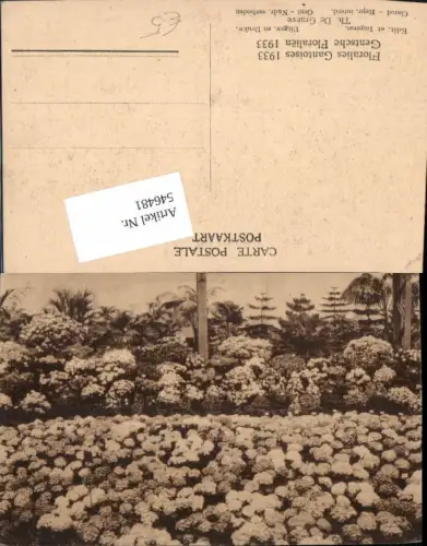 546481,Belgium Gent Gand Floralies Gantoises 1933 Ausstellung Blumen