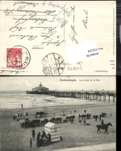 713728 Blankenberghe Les anes et le Pier Pferd Strand Irrläufer Erlanghof Weitenegg
