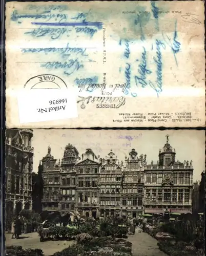 166936,Bruxelles Brüssel Gand Place Flower Market Blumenmarkt Blumen