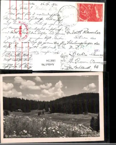 188734,Bulgarien Ansicht v. Undola Wiese Wald