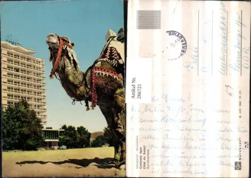 286721,Nessebre Nessebar Cote du Soleil Sonnenküste Hotel Kamel