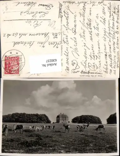 630237,Foto Ak Jægersborg Dyrehave Kopenhagen View of the Deer-park Rehe Wild Denmark