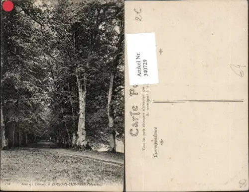 340729,Basse-Normandie Manche Torigni-sur-Vire Sous les Tilleuls Wald