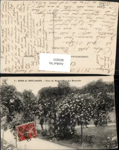 403855,Ile-de-France Paris Bois de Boulogne Parc de Bagatelle La Roseraie Rosengarten