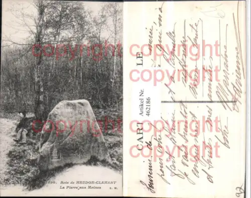 462186,Ile-de-France Hauts-de-Seine Bois de Meudon-Clamart Pierre aux Moines Stein