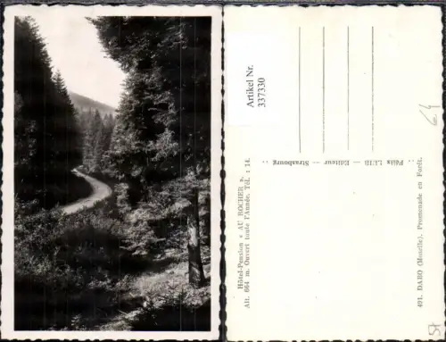 337330,Foto Ak Lothringen Moselle Dabo Promenade en Foret