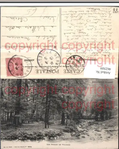 462509,Lothringen Vosges Kichompre Perles de Vologne Bach Wald
