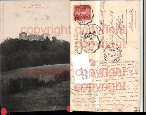 462544,Midi-Pyrenees Tarn Realmont Chateau du Cayla Schloss