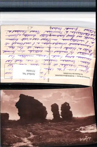 331684,Poitou-Charentes Charente-Maritime St-Georges-de-Didonne Les Rochers de Vallieres Felsen