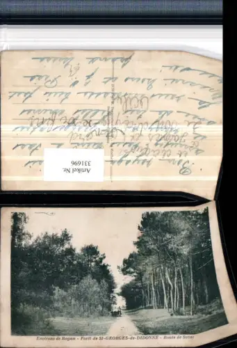 331696,Poitou-Charentes Charente-Maritime St-Georges-de-Didonne Foret Route de Suzac Wald