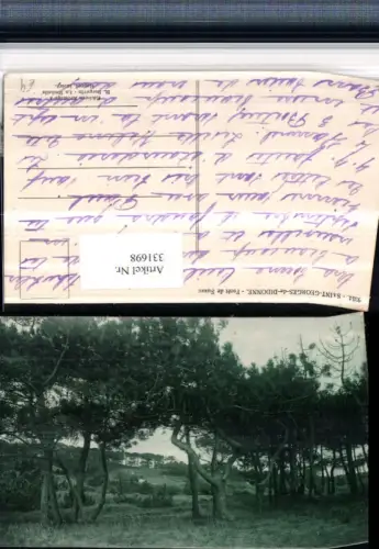 331698,Poitou-Charentes Charente-Maritime Saint-Georges-de-Didonne Foret de Suzac Wald