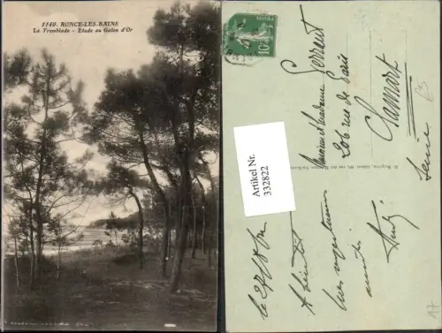 332822,Poitou-Charentes Charente-Maritime Ronce-les-Bains La Tremblade Etude au Galon d'Or