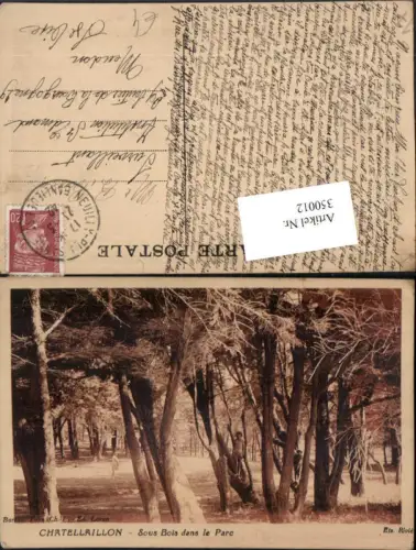 350012,Poitou-Charentes Charente-Maritime Chatellaillon Sous Bois dans le Parc Bäume