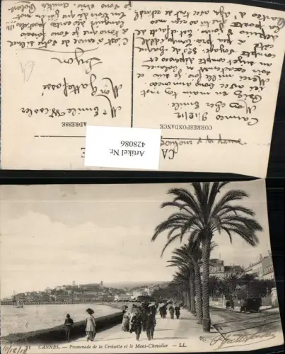 428086,Provence-Alpes-Cote-Azur Alpes-Maritimes Cannes Promenade Croisette et Mont Chevalier