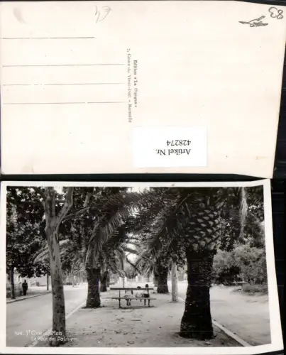 428274,Provence-Alpes-Cote-Azur Var St. Cyr-sur-Mer La Place des Palmiers Palmen