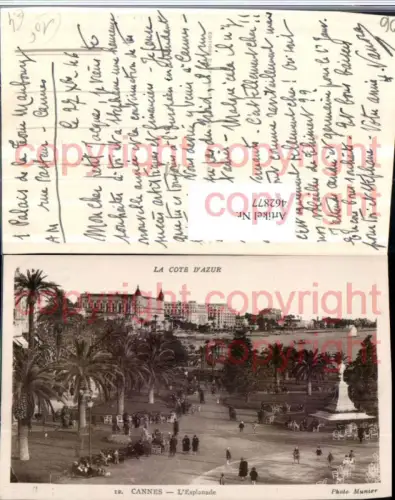 462877,Provence-Alpes-Cote-Azur Alpes-Maritimes Cannes Esplanade Denkmal Palmen