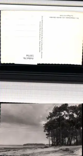 530794,France Andernos-les-Bains Gironde La Plage et la Foret Strand Küste