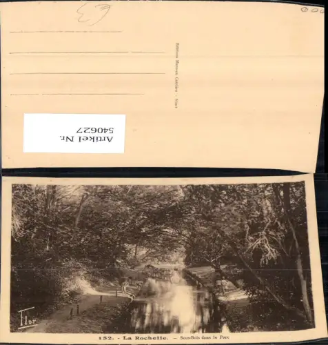 540627 France La Rochelle Sous-Bois dans le Parc
