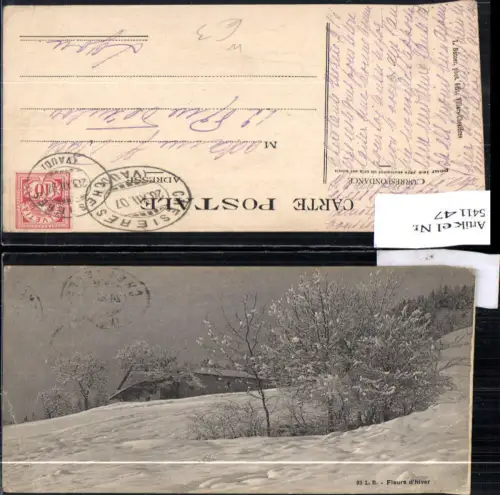 541147 France Villars Chesieres Fleurs d Hiver Winterlandschaft