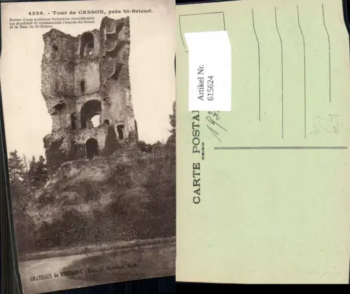 615624,Saint-Brieuc Tour de Cesson pres St Brieuc Ruine Turm France