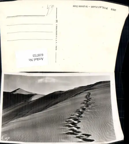 618733,Arcachon Pilat Plage La grande Dune Dune du Pilat France