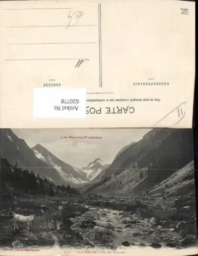 620778,Cauterets Val de Lutour Kühe Rinder Les Hautes Pyrenees France