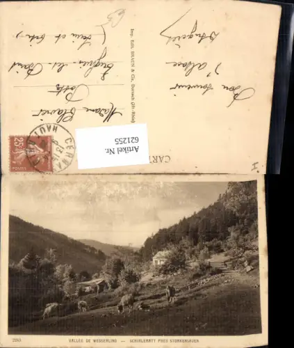 621255,Vallee de Wesserling Schirlematt pres Storkensauen France