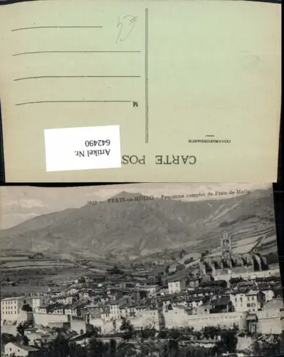 642490,Prats-de-Mollo Panorama complet de Prats-de-Mollo France