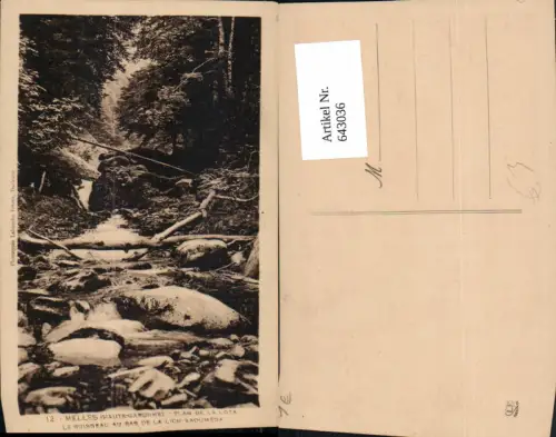 643036,Melles Haute-Garonne Plan de la Loza Le Ruisseau au sas de la Lich Saoumeda France